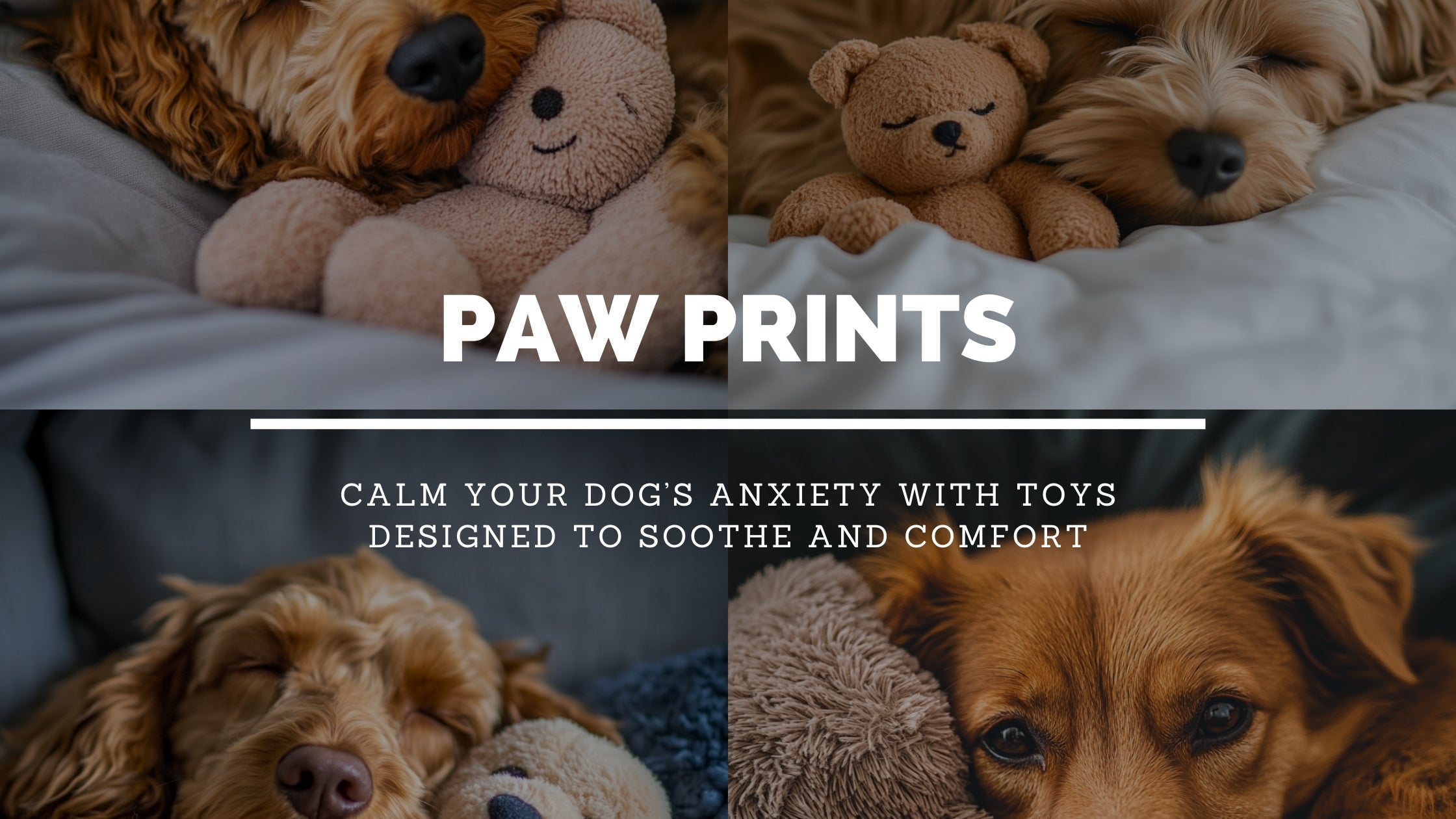 How Do Calming Toys for Dogs Help Reduce Anxiety?