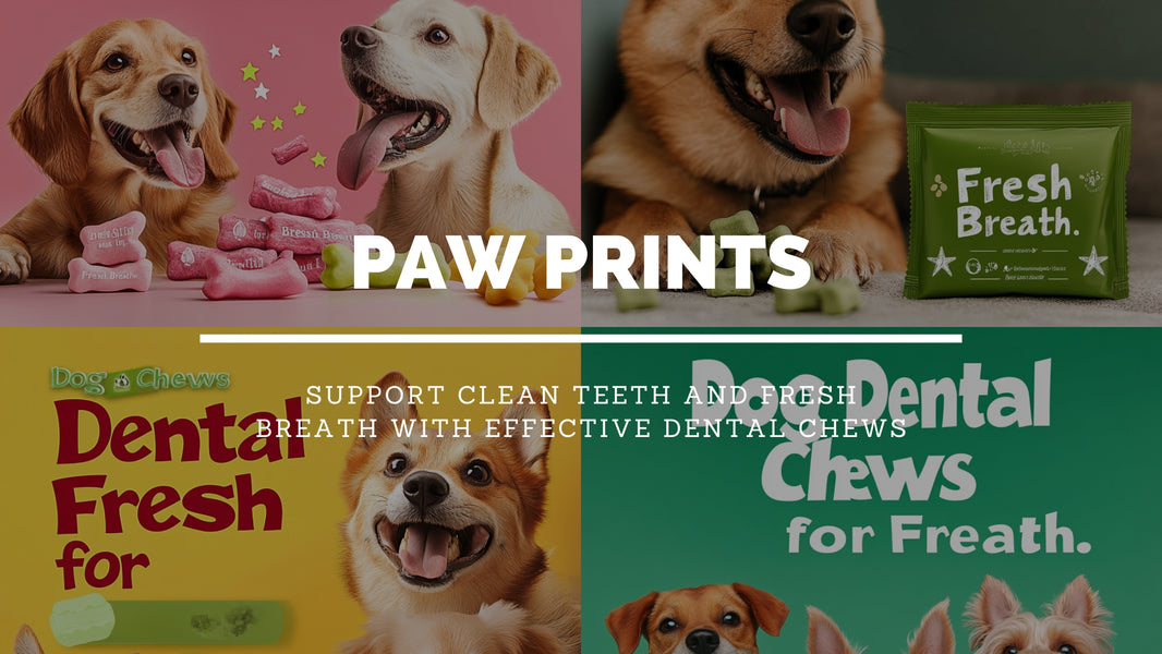 How Do Dog Dental Chews Help Keep Teeth Clean and Breath Fresh?