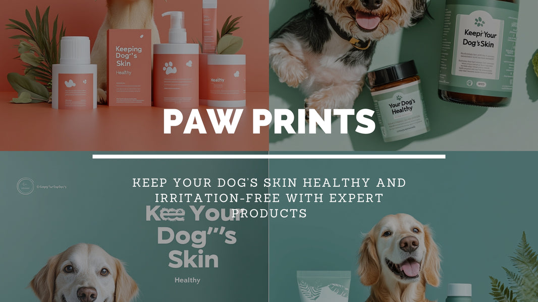 Dog Skin Care: Complete Guide to Maintaining Healthy Skin 2024