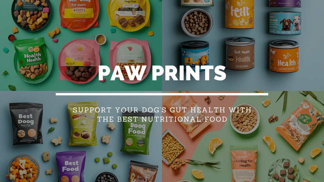 Best Dog Foods for Gut Health: Complete Guide 2024