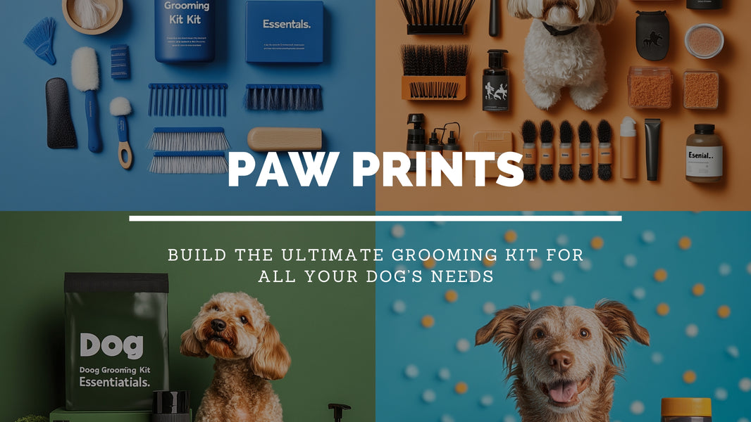 Dog Grooming Kit Essentials: The Complete Guide for 2025