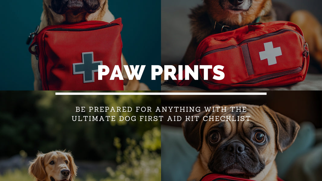 Dog First Aid Kit Guide: What Every Pet Parent Needs to Know