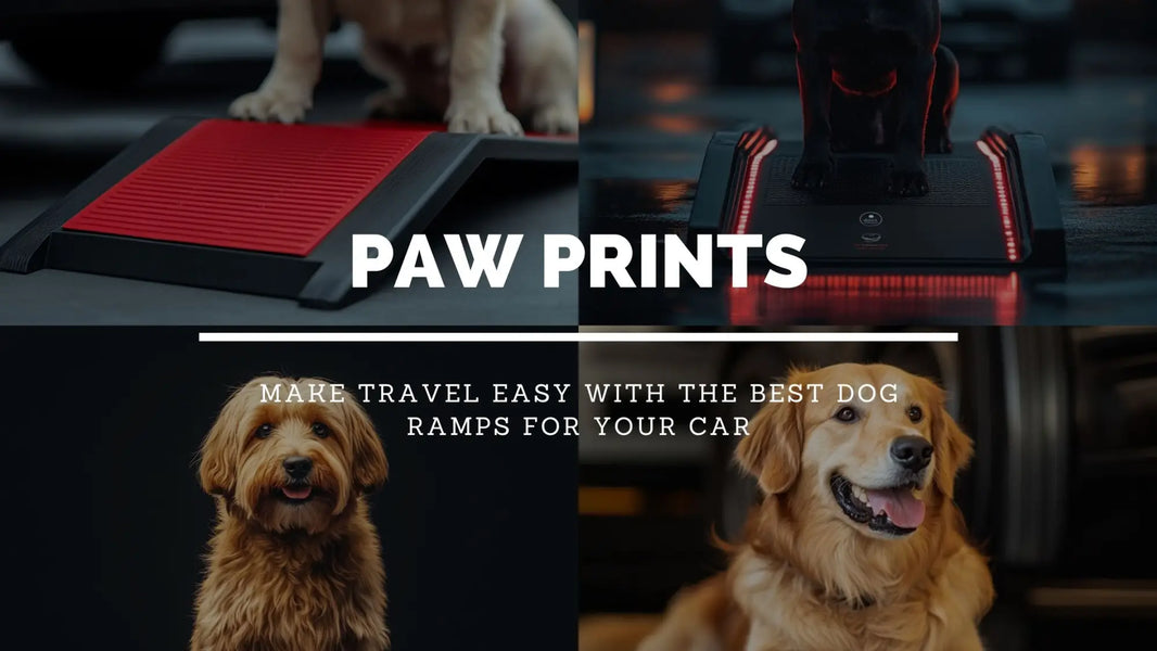 Best Dog Ramps for Cars: Make Travel Easy for Your Pet