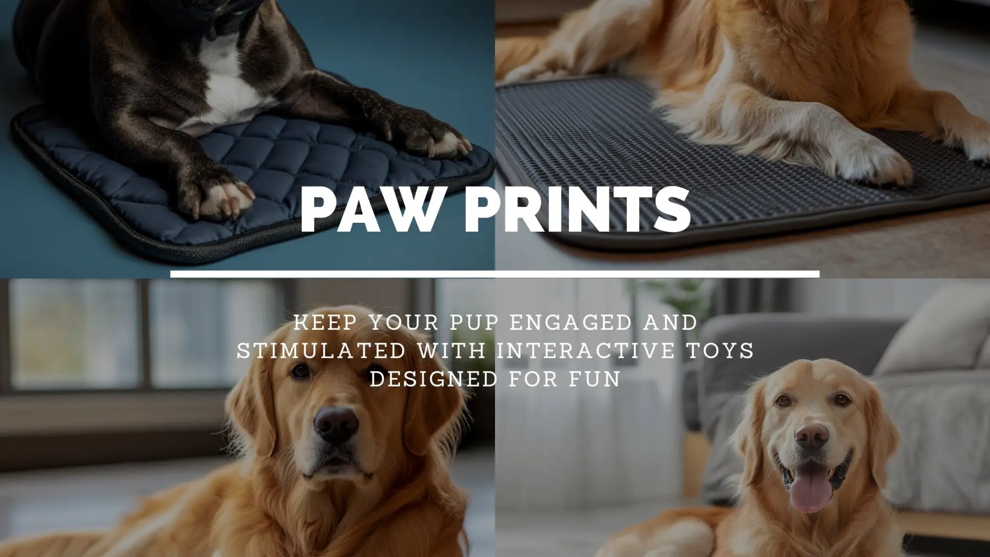 How Can Interactive Dog Toys Keep Your Pet Engaged?