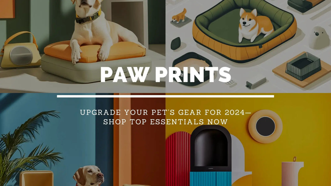 The Ultimate Guide to Dog Products for 2024: Top Essentials for Your Pet