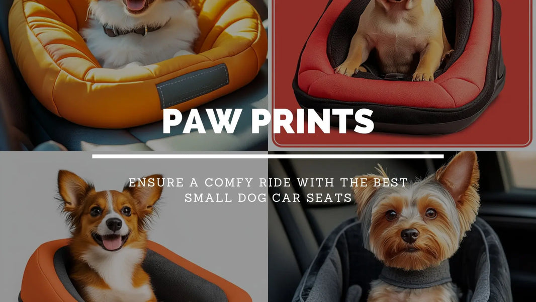 Top Small Dog Car Seats for a Comfortable Ride