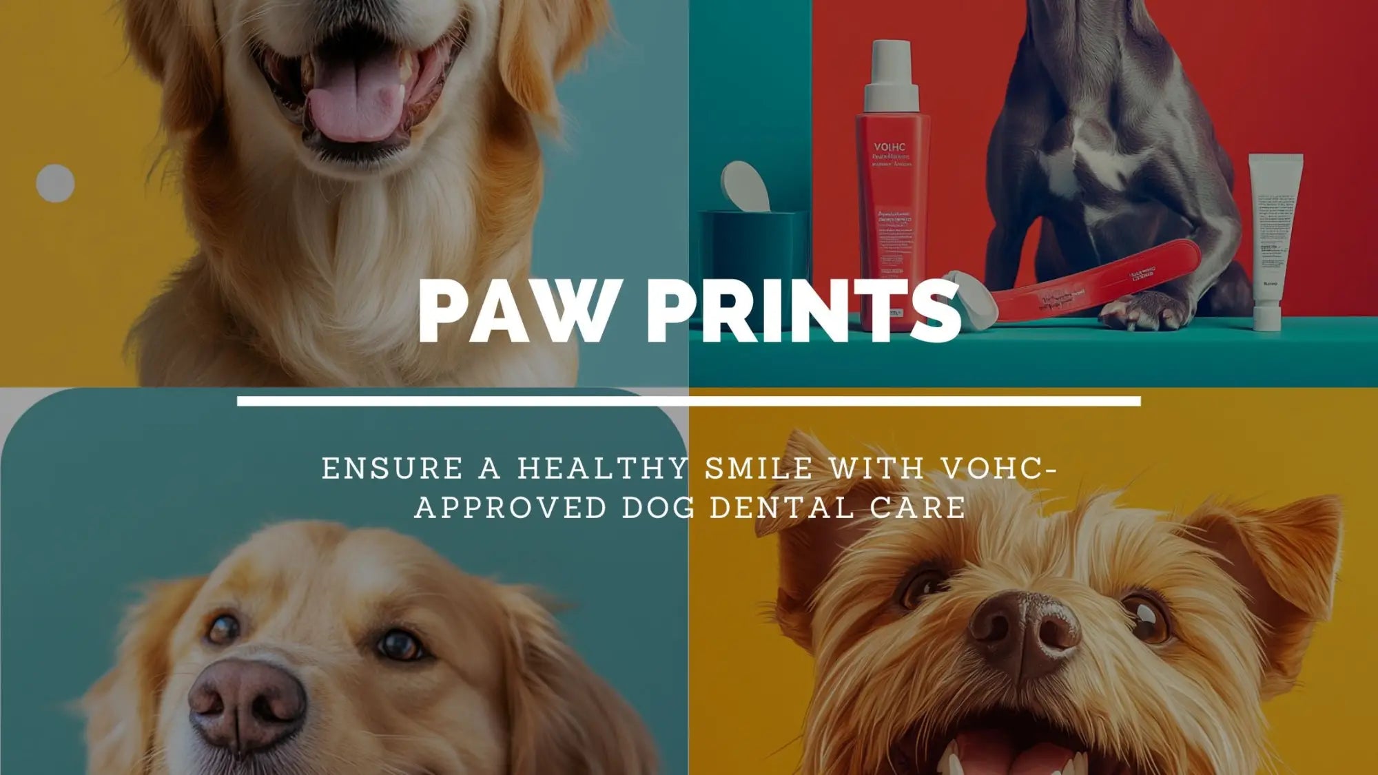 Top VOHC Approved Products for Your Dog’s Dental Health