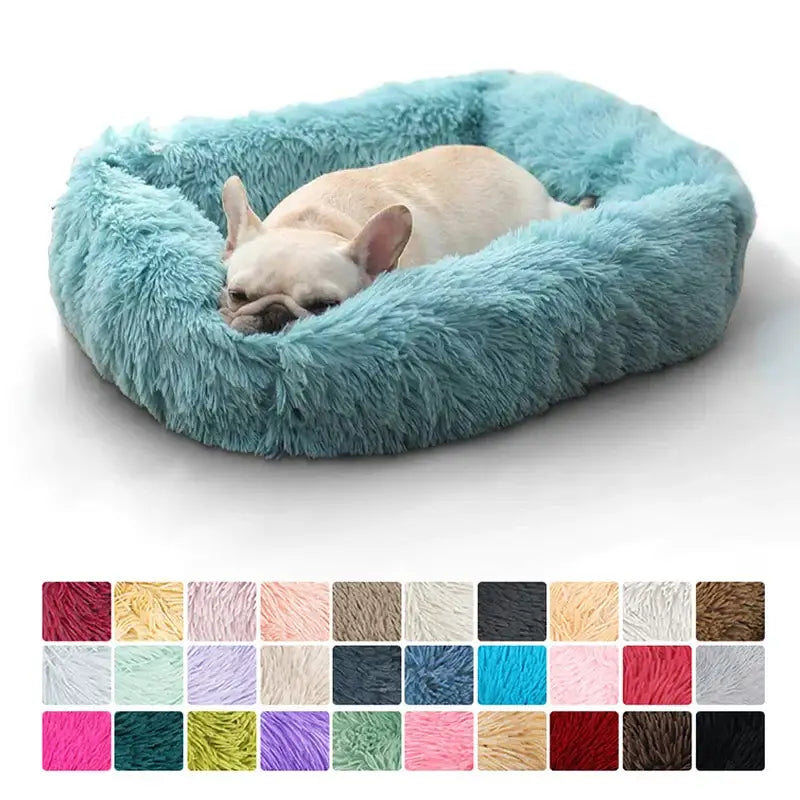 Fluffy teal pet bed with a sleeping French Bulldog curled up inside.