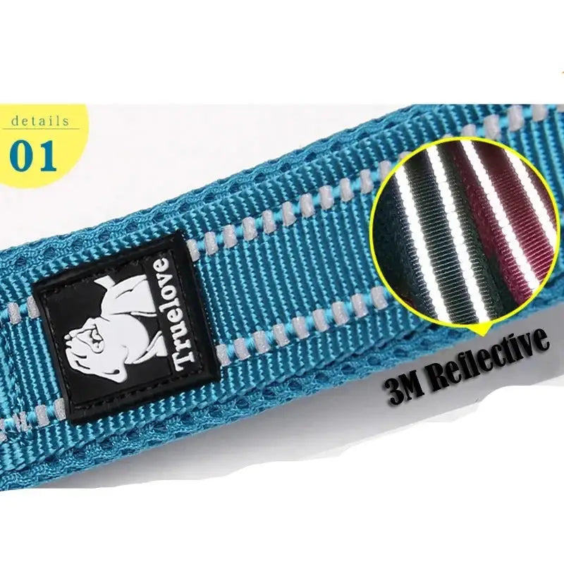 Blue dog collar with reflective stitching and a cartoon dog logo tag.