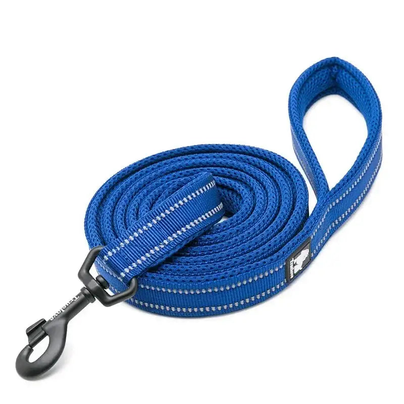 Blue nylon dog leash with reflective stitching and a metal clip.