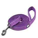 40 ft Dog Leash - Vignette | DoggyElite