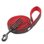 40 ft Dog Leash - Vignette | DoggyElite