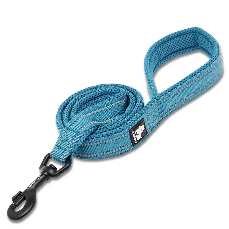 Teal-colored dog leash with a padded handle and metal clip.