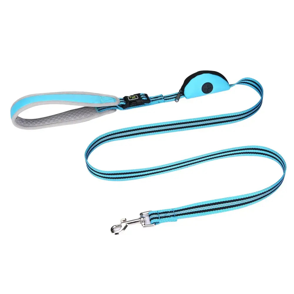 Dog leash with blue and gray stripes and a padded handle.