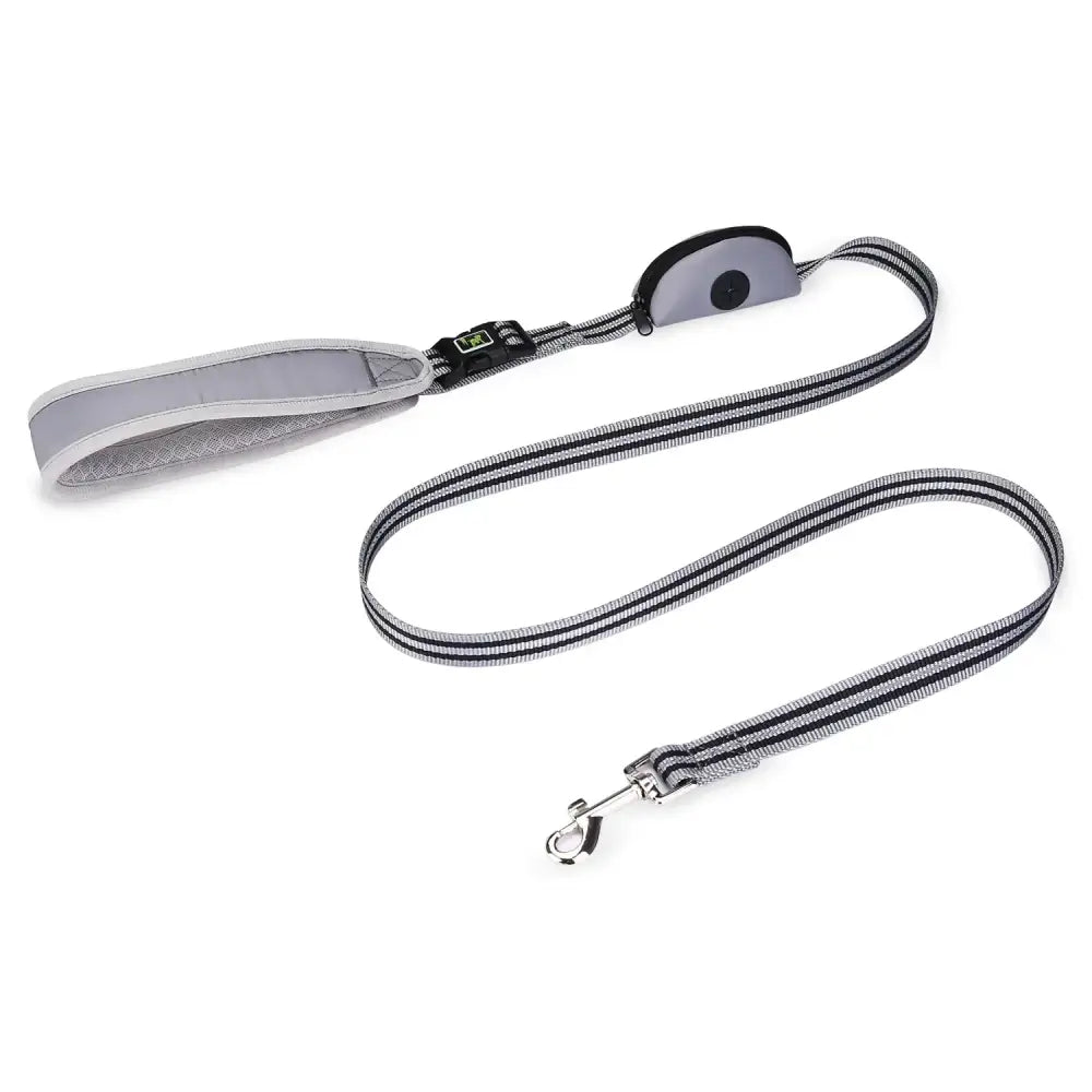 Dog leash with a plastic handle and metal clip attachment.