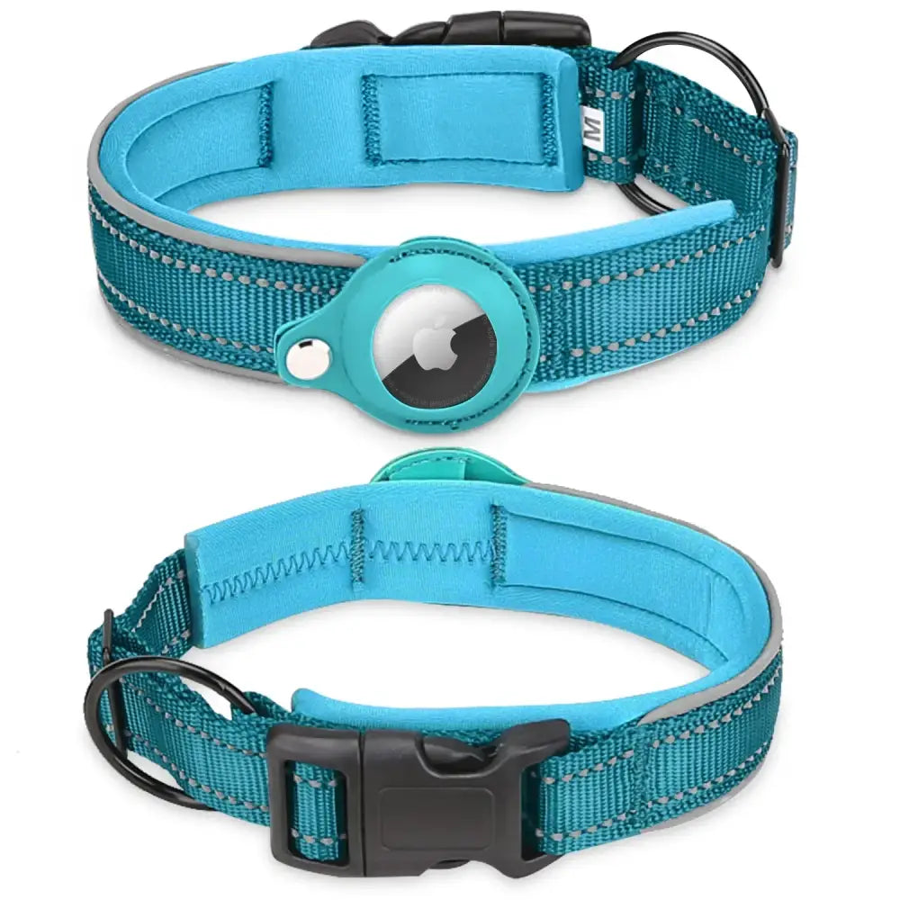 Teal dog collar with an attached Apple AirTag holder.