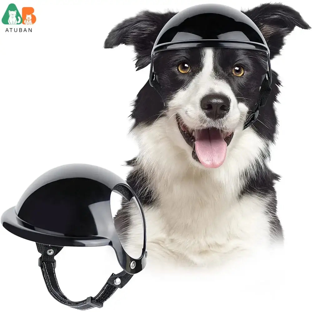 Dog helmet, designed to protect a canine’s head while riding.