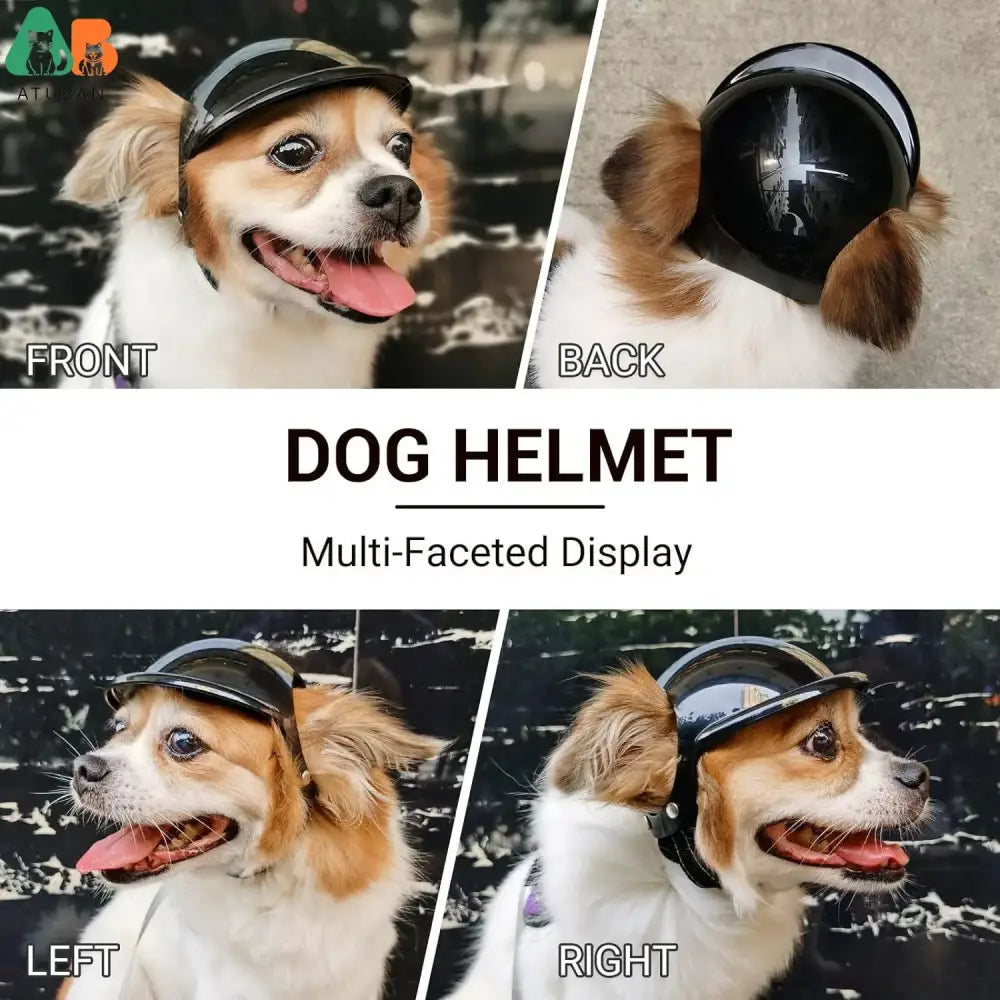 Dog helmet with multiple views showing front, back, left, and right sides.