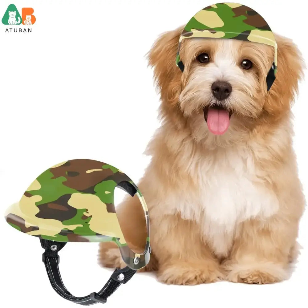 Fluffy tan dog wearing a camouflage hat, sitting next to a matching camouflage helmet.