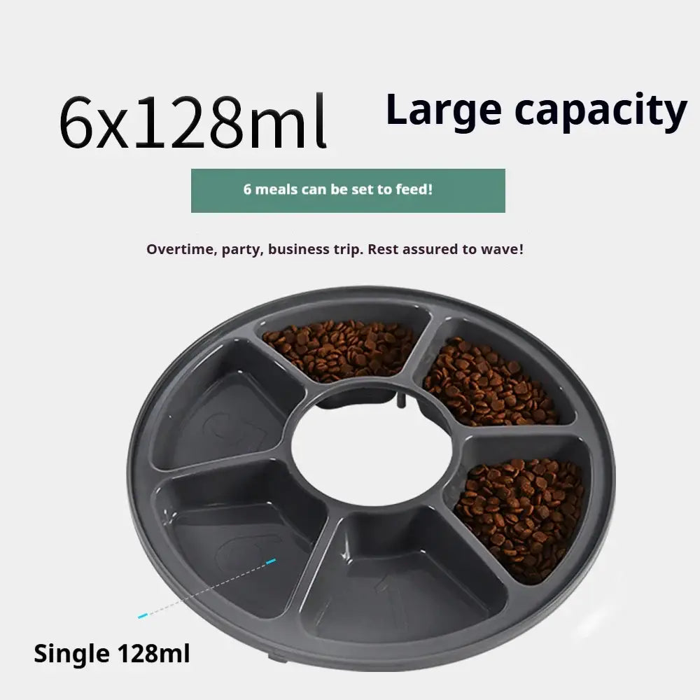 Circular pet feeder tray with six compartments, some containing dry food.