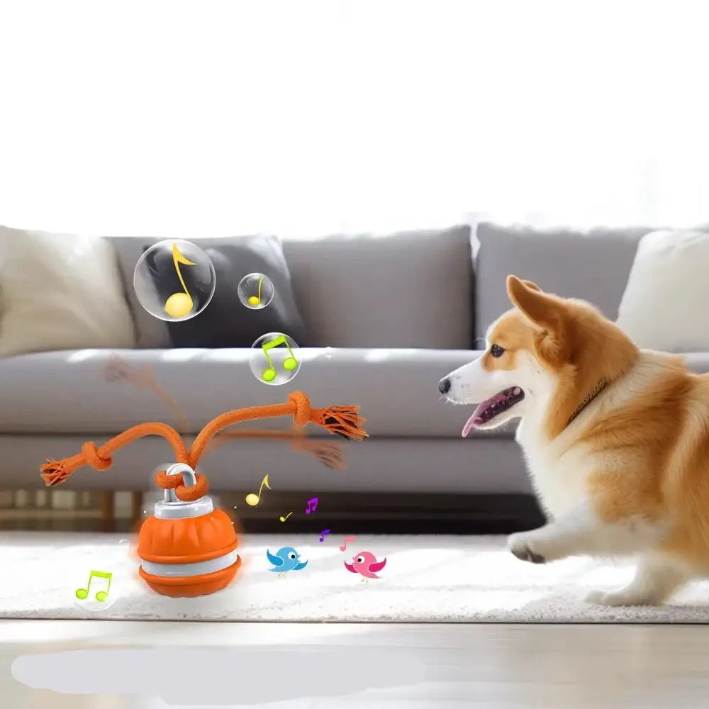 Corgi dog looking at colorful bubbles and musical notes emerging from an orange toy.