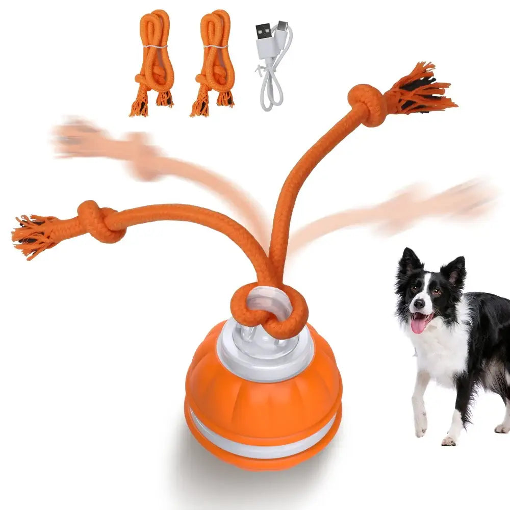 Interactive dog toy with multiple flexible arms and attachments for play and engagement.