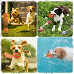 Automatic Dog Toy - Vignette | DoggyElite