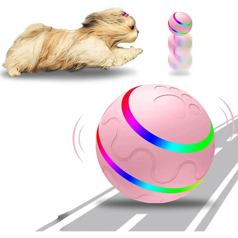 Guinea pig chasing a colorful rolling ball.