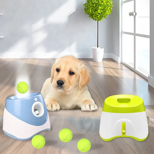 Adorable yellow Labrador puppy lying on a wooden floor with tennis balls and dog toys nearby.