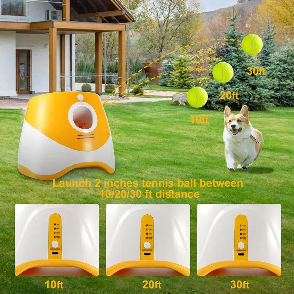 Automatic tennis ball launcher for dogs with adjustable distance settings.