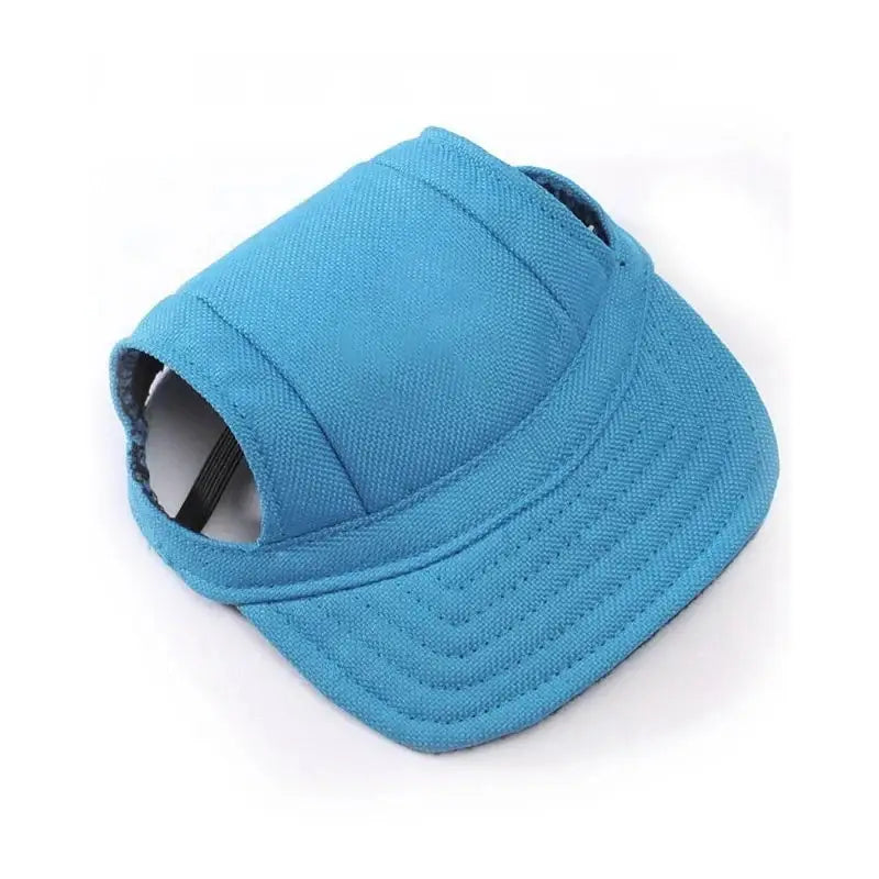 Blue baseball-style cap designed for a dog, with an opening for the ears.