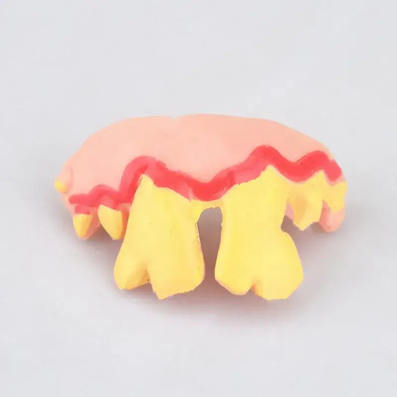 Novelty fake teeth or gums made of plastic or rubber.