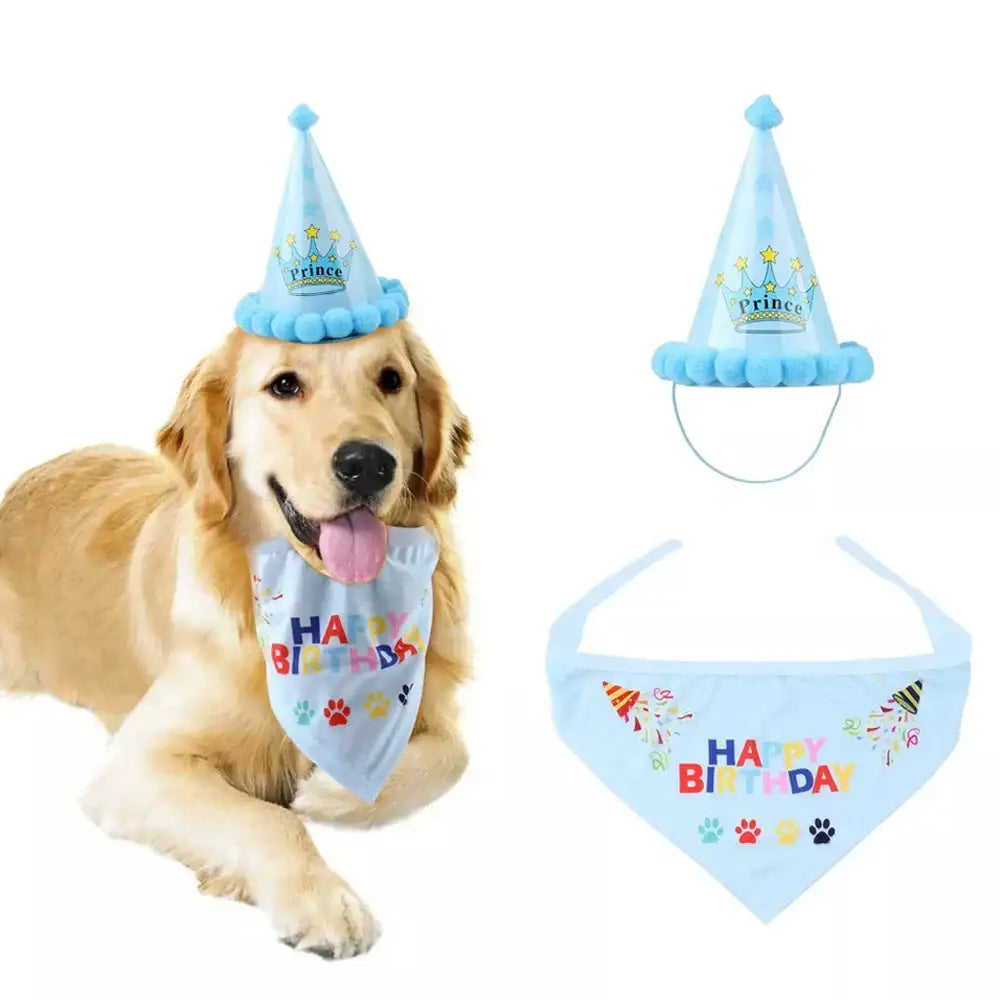 Golden Retriever wearing a blue birthday hat and bandana.