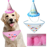 Birthday Bandana For Dogs - Vignette | DoggyElite