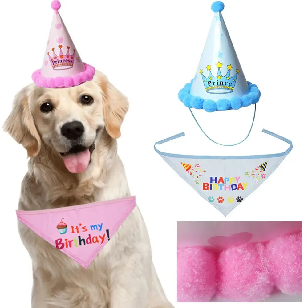 Golden Retriever wearing a pink birthday hat and bandana.