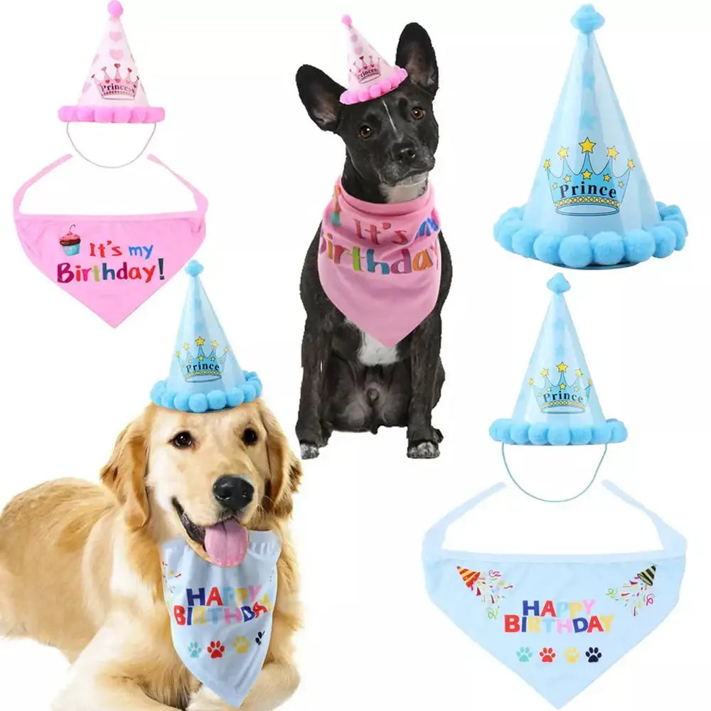 Two dogs wearing birthday-themed bandanas and party hats.