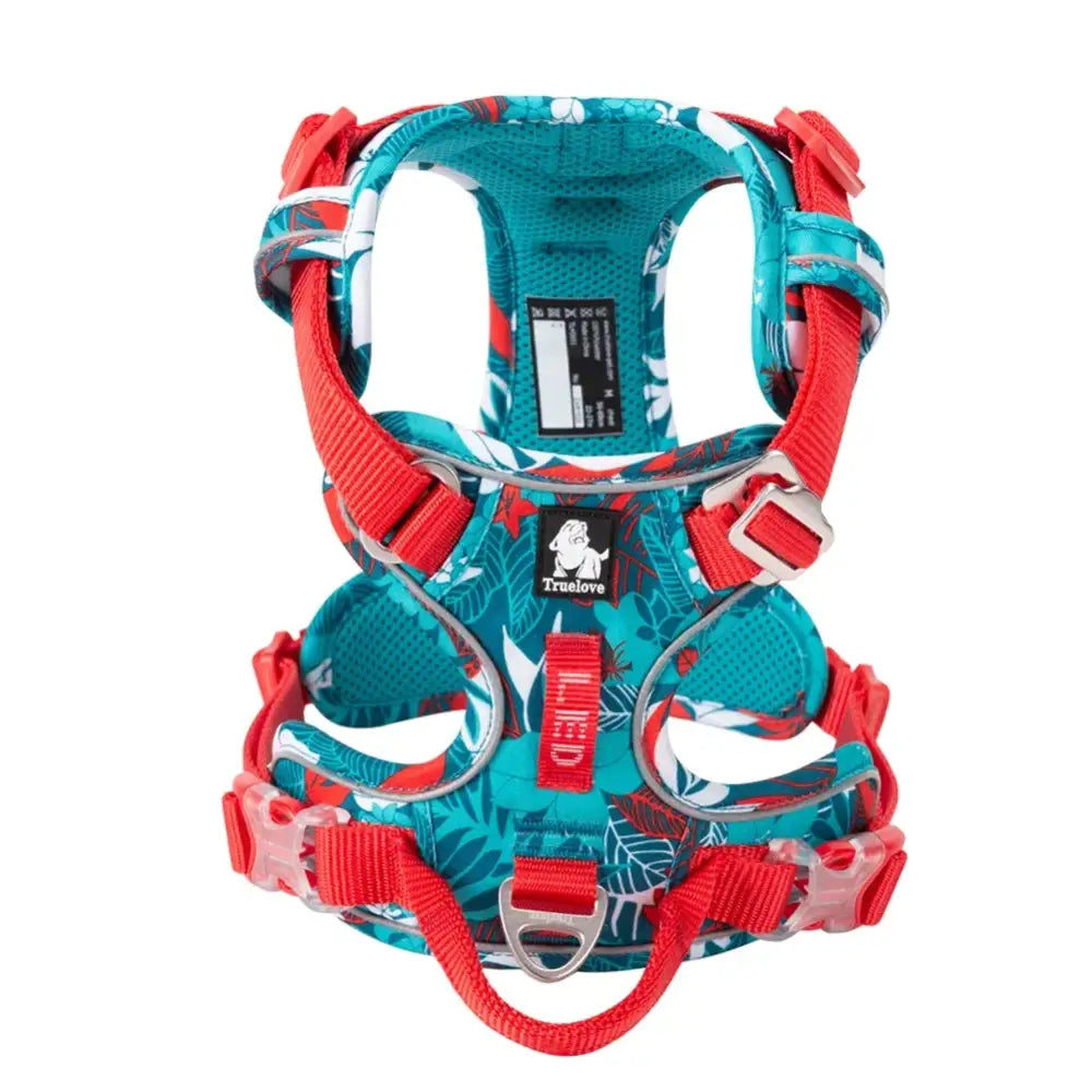 Colorful dog harness with teal and red straps and buckles.