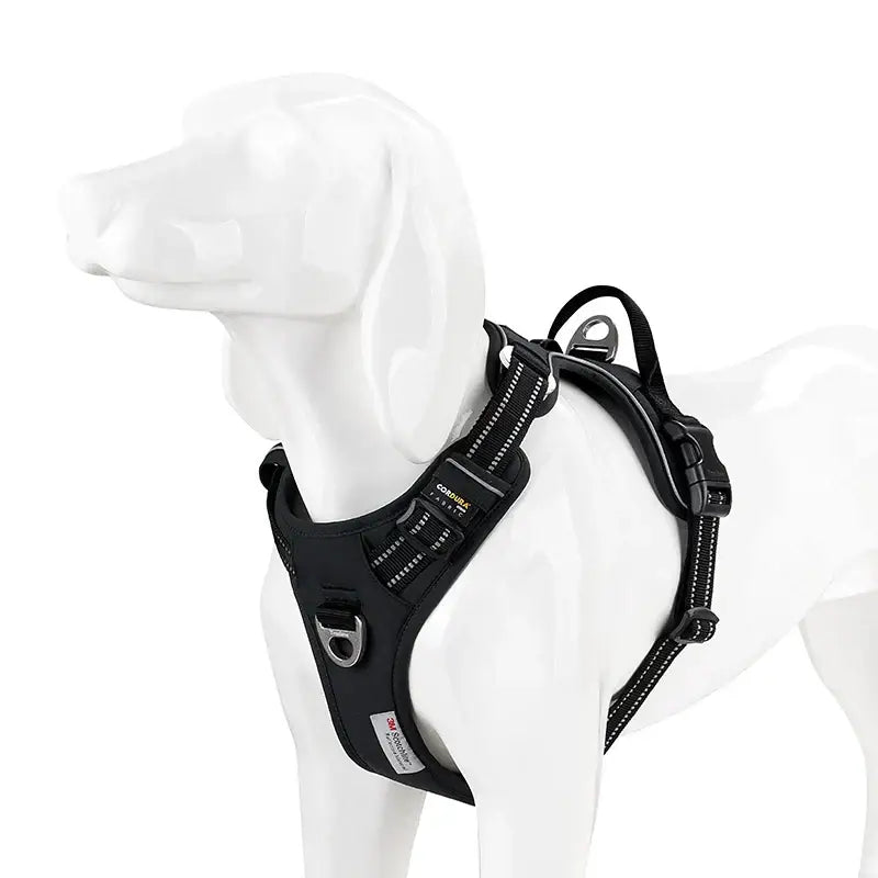 Dog harness with adjustable straps and a handle on top.