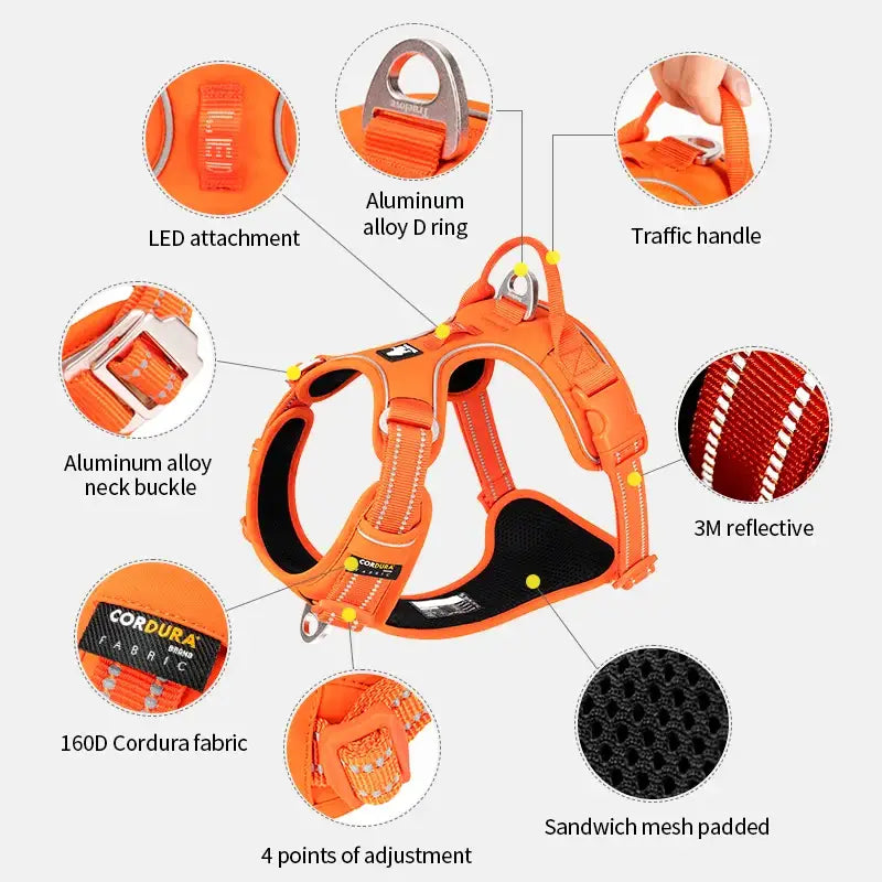 Orange dog harness with labeled features including LED attachment, reflective material, and adjustable straps.