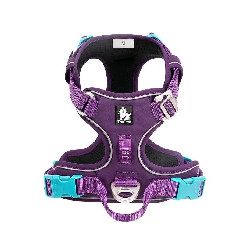 Purple and teal dog harness with adjustable straps and buckles.