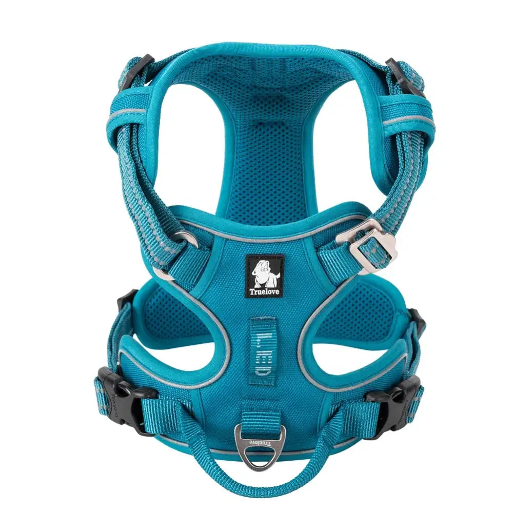 Teal-colored dog harness with adjustable straps and mesh padding.