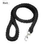 Braided Dog Leashes - Vignette | DoggyElite