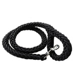 Braided Dog Leashes - Vignette | DoggyElite