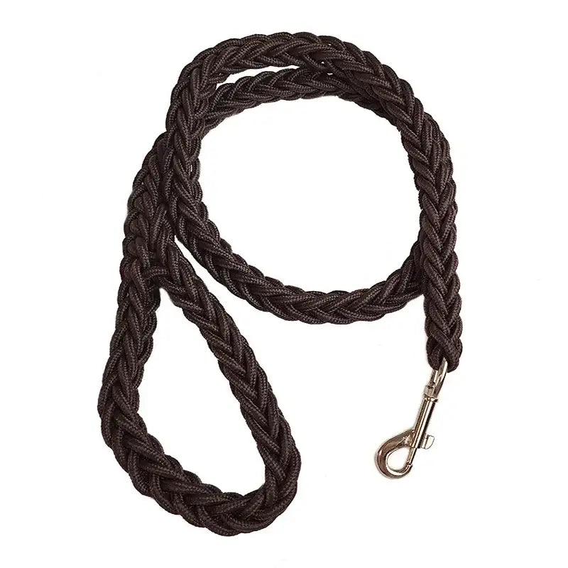 Braided brown leather dog leash with a metal clip.