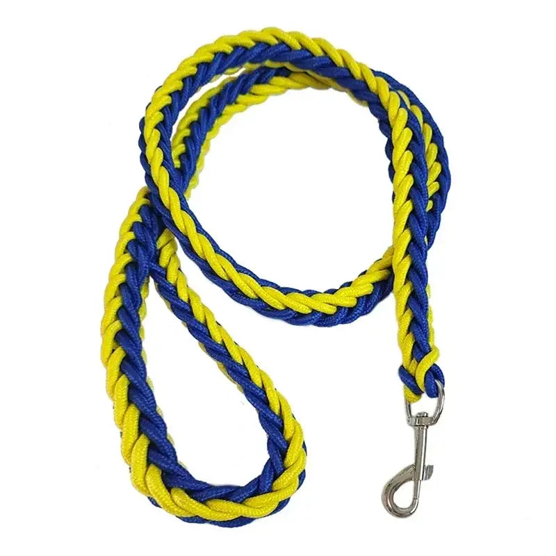 Braided dog leash in blue and yellow with a metal clip.