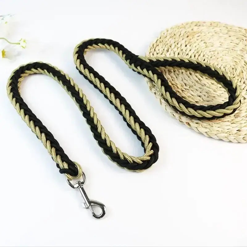 Braided dog leash with a metal clip at one end.