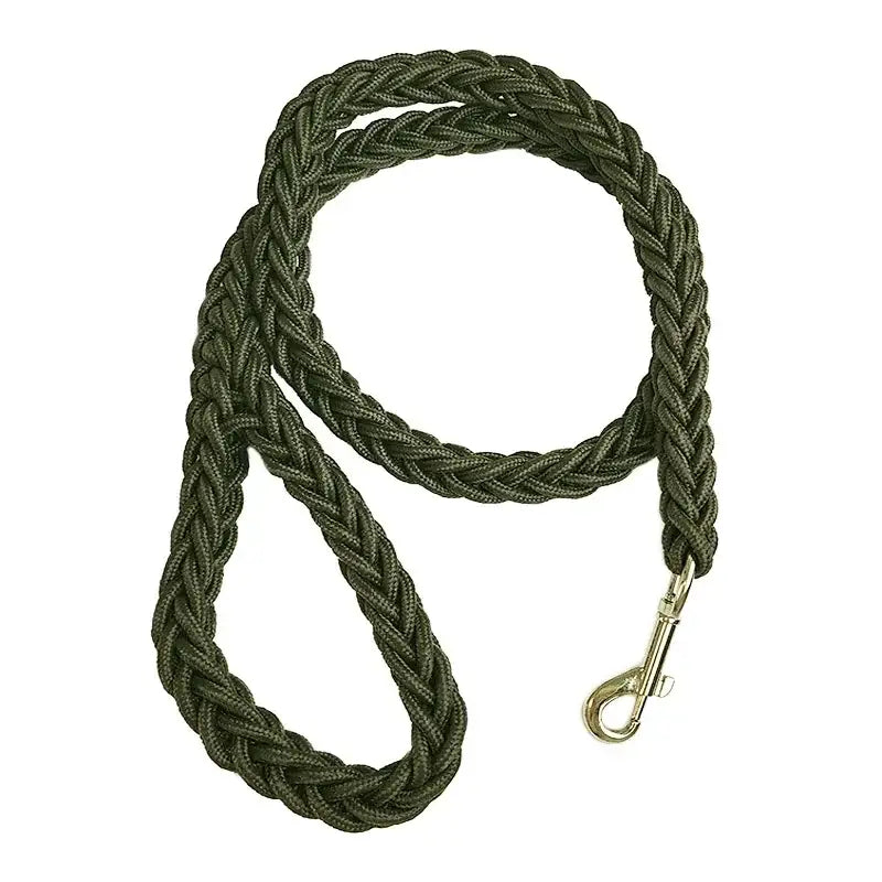 Braided green rope leash with a metal clip at one end.