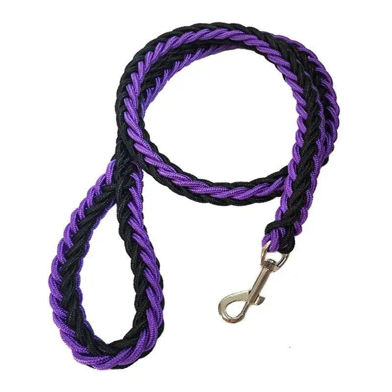 Braided purple and black dog leash with a metal clip.