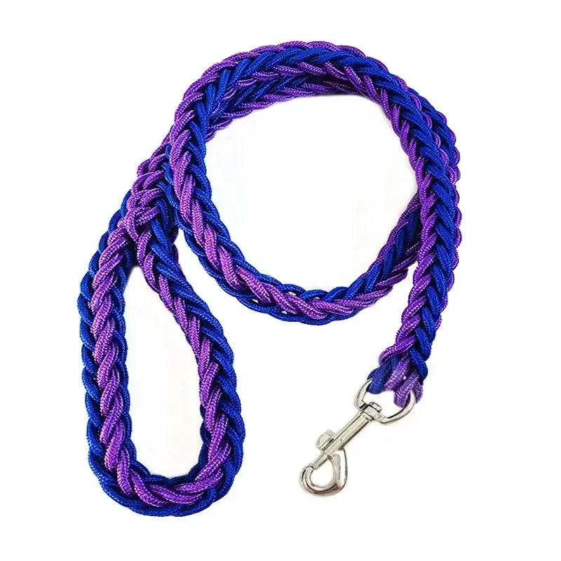 Braided purple and blue dog leash with a metal clip.