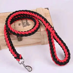 Braided Dog Leashes - Vignette | DoggyElite